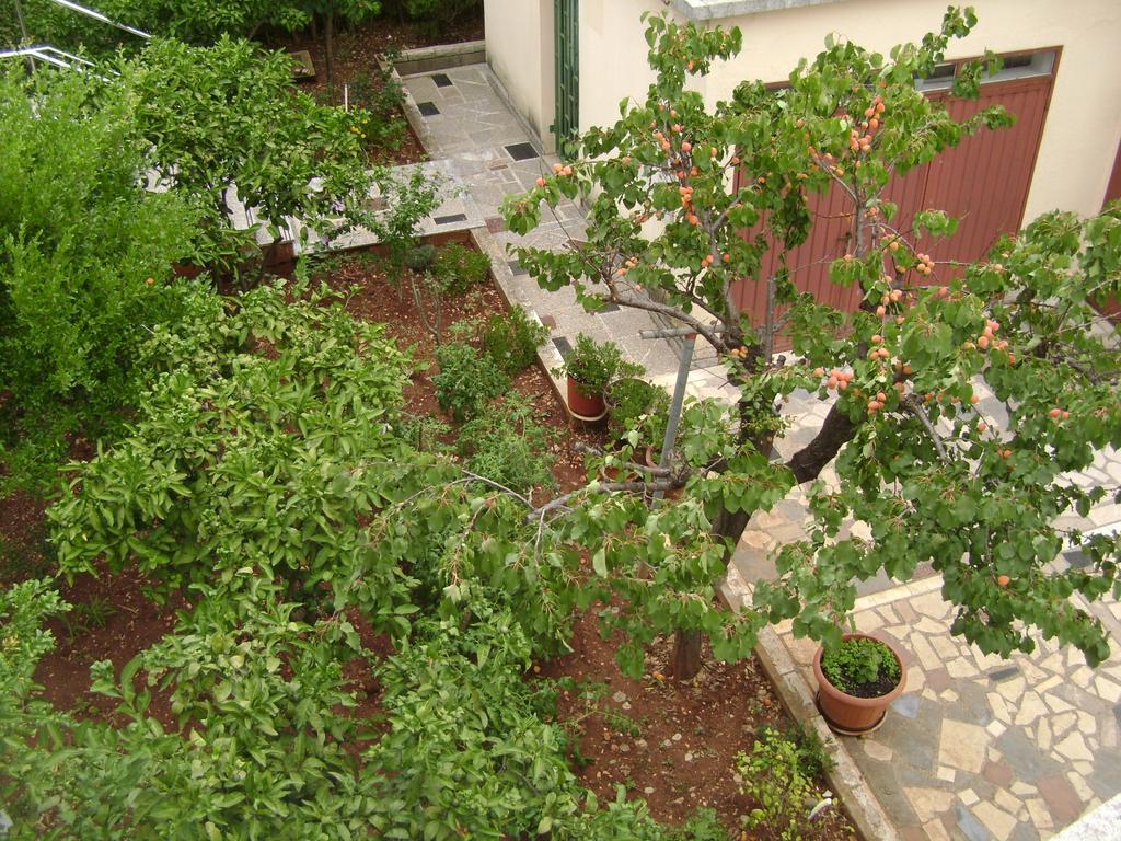 Apartmani Tome Zadar Bagian luar foto